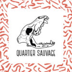 Supimage_création logo